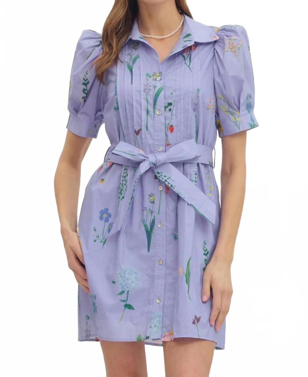 NEW ENTRO meadow muse mini dress in periwinkle